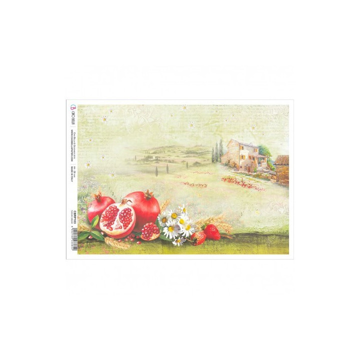 copy of 
